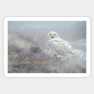 Snowy Owl Christmas card. Sticker